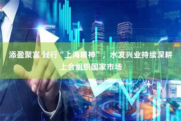 添盈聚富 践行“上海精神”，水发兴业持续深耕上合组织国家市场