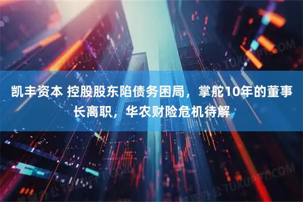 凯丰资本 控股股东陷债务困局，掌舵10年的董事长离职，华农财险危机待解
