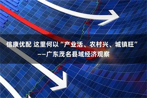 信康优配 这里何以“产业活、农村兴、城镇旺” ——广东茂名县域经济观察