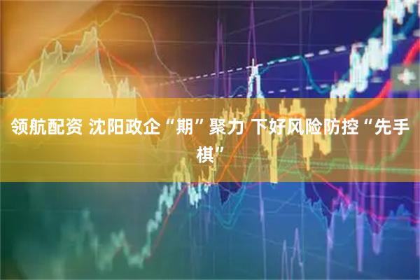 领航配资 沈阳政企“期”聚力 下好风险防控“先手棋”