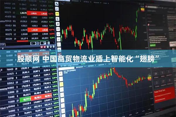 股顺网 中国商贸物流业插上智能化“翅膀”