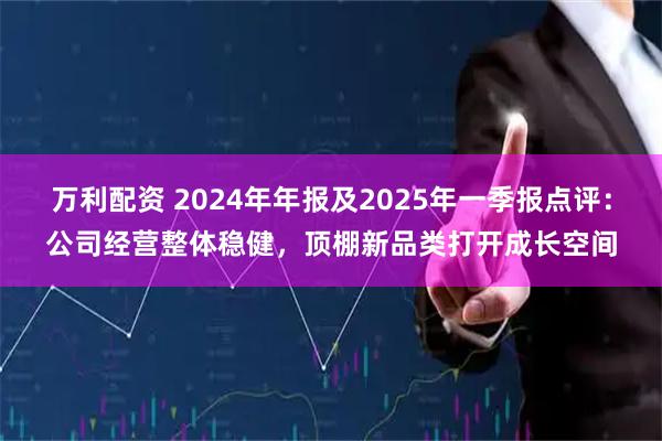 万利配资 2024年年报及2025年一季报点评：公司经营整体稳健，顶棚新品类打开成长空间