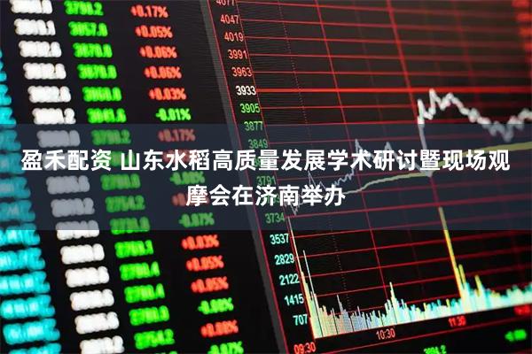 盈禾配资 山东水稻高质量发展学术研讨暨现场观摩会在济南举办