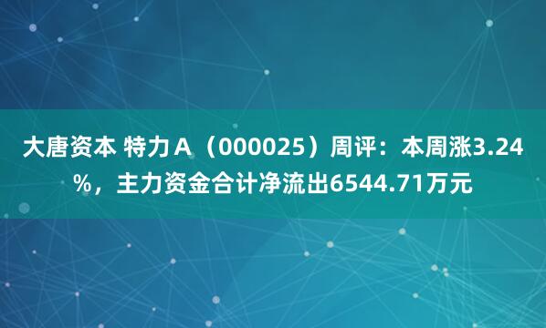 大唐资本 特力Ａ（000025）周评：本周涨3.24%，主力资金合计净流出6544.71万元