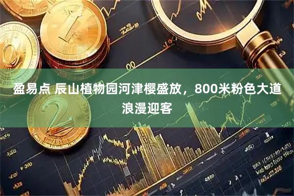 盈易点 辰山植物园河津樱盛放，800米粉色大道浪漫迎客