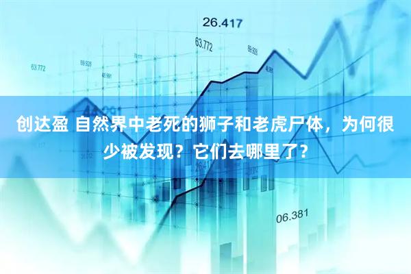 创达盈 自然界中老死的狮子和老虎尸体，为何很少被发现？它们去哪里了？